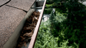 Gutter Cleaning